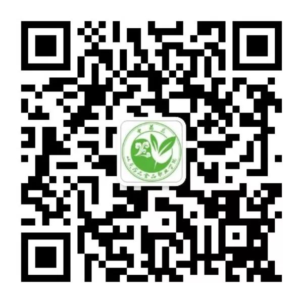 Understanding Jin Yin Hua (Honeysuckle) in Traditional Chinese Medicine