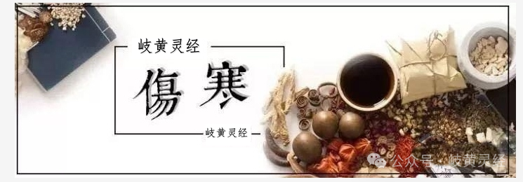 Fuzi Xiexin Decoction: A Classic Formula for Treating 'Cold-Heat Intermingling' (A Simplified Interpretation)