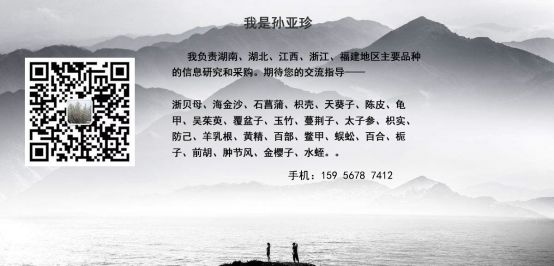 Who Has Been Hurt by Bai Shao?