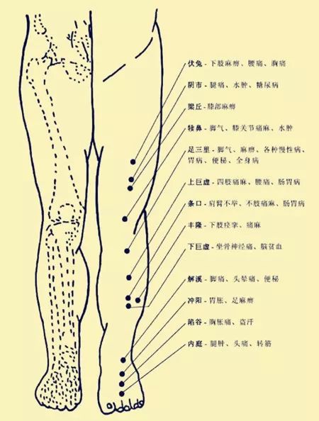 Comprehensive Human Acupuncture Points Chart and Their Functions (A Must-Bookmark)