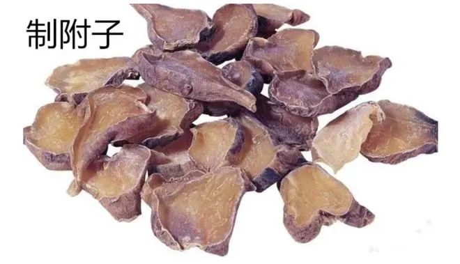 The Efficacy of Fuzi (Aconite): Nourishing Fire and Assisting Yang, Dispelling Cold and Alleviating Pain