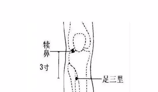 Common Acupuncture Points in Traditional Chinese Medicine for Reference