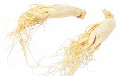 Understanding Qi Deficiency: Symptoms and TCM Approaches for Improvement