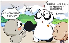 Guide to Eliminating Dampness in Traditional Chinese Medicine