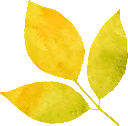 Fundamental Formula for Treating Qi Deficiency with Damp-Heat Syndrome: Five Clinical Cases of Shiyushu Yiqi Jiedu Decoction
