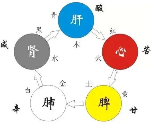 Yin-Yang and the Five Elements in Nourishing the Organs: Unveiling Ancient Wisdom for Body Balance