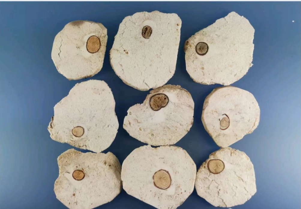 A Detailed Discussion on Chinese Medicinal Herbs: Are Fuling and Fushen Siblings?