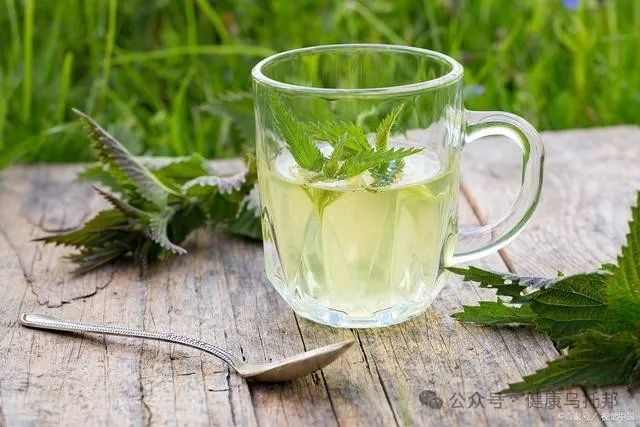 The Magical Effects of Honeysuckle on the Body: What You May Not Know