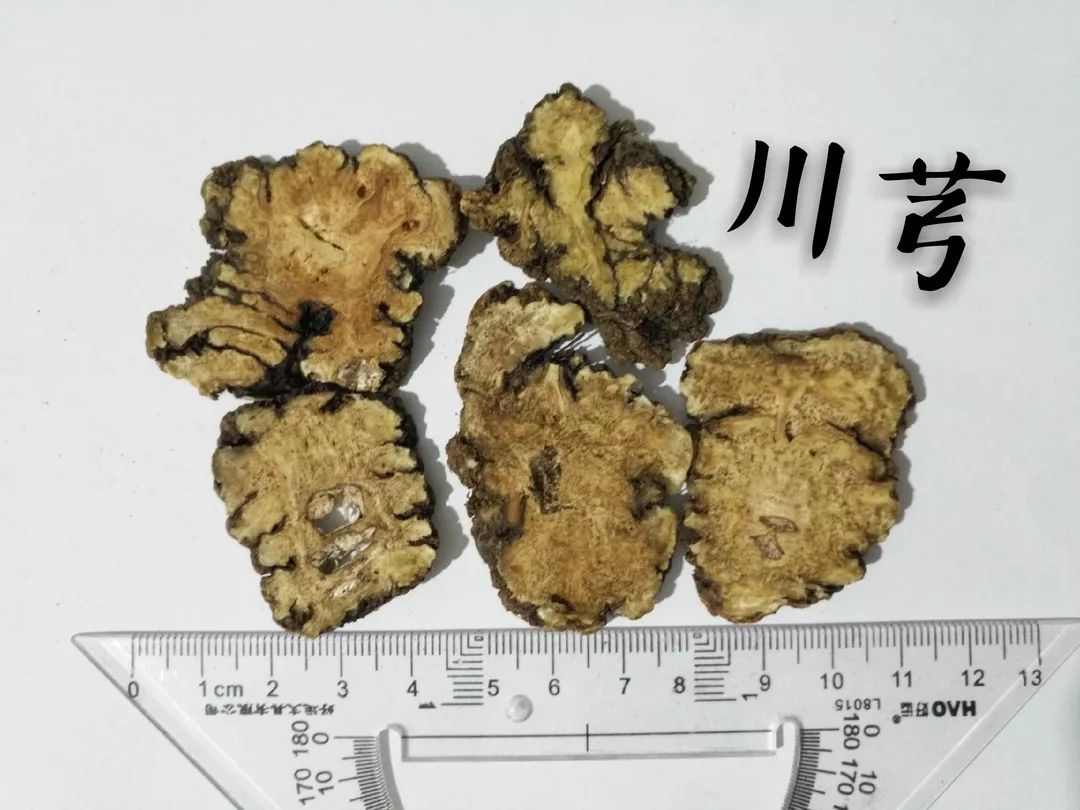 Chuanxiong (A Comprehensive Study of Historical Materia Medica)