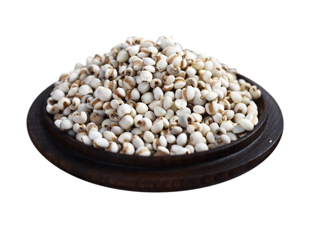 Job's Tears: A Small Seed with Great Benefits for Spleen Health, Dampness Relief, and Heat Clearance