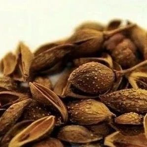 The Efficacy and Medicinal Value of Lian Qiao (Forsythia Suspensa)