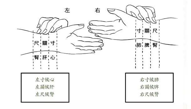 The Method of Floating, Middle, and Sinking Pulse