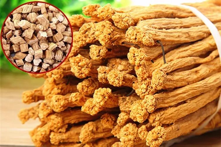 Understanding Dang Shen (Codonopsis pilosula) in Traditional Chinese Medicine