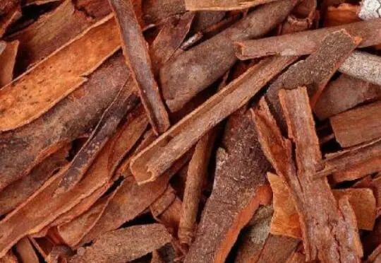 The Remarkable Chinese Herb: Cinnamon