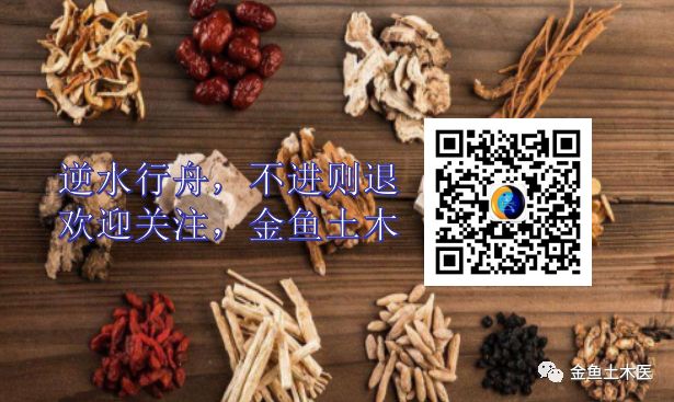 Daily Herb: Chuan Xiong (Ligusticum Chuanxiong)