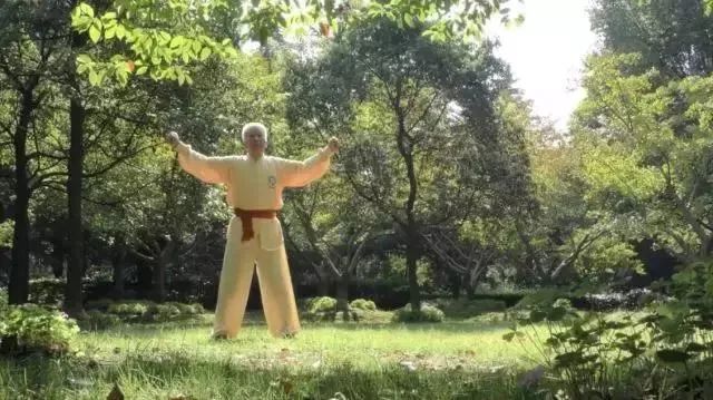 Simple and Easy to Learn! Illustrated Guide to the Twelve Movements of the Ancient Yi Jin Jing (Includes Video)