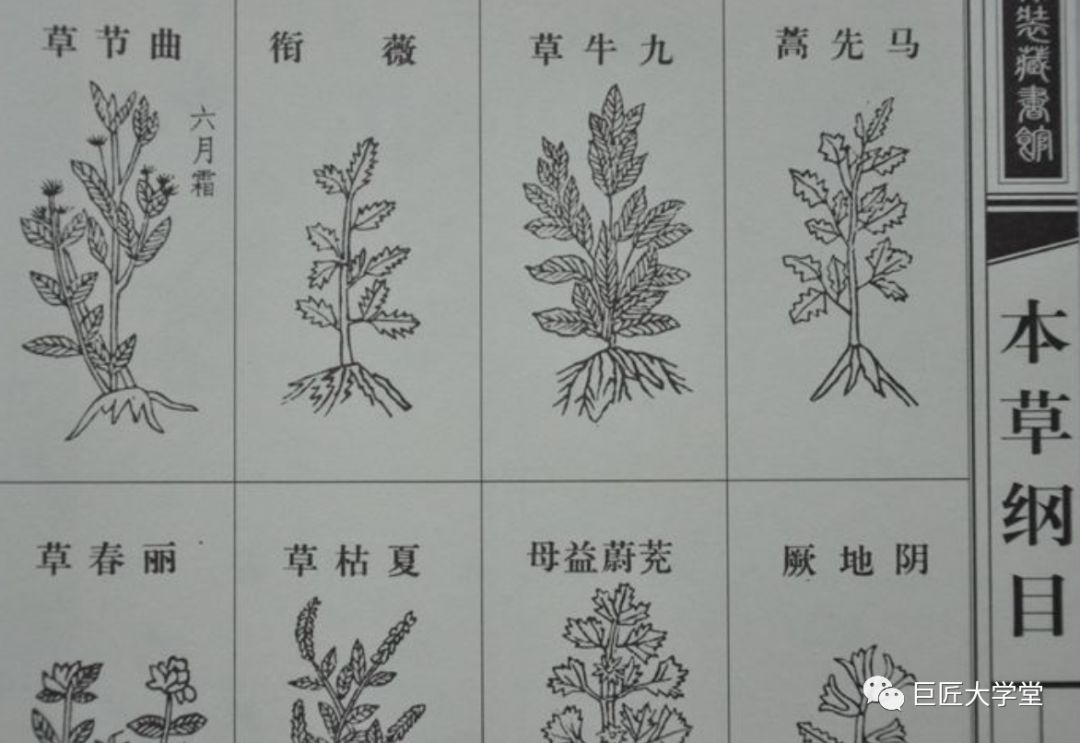 The Classic Masterpiece | The Great Medical Text of the East: Compendium of Materia Medica