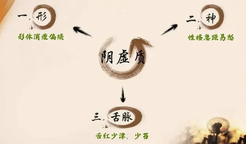 Ten Herbs for Nourishing Yin: Recommendations for Yin Deficiency Constitution