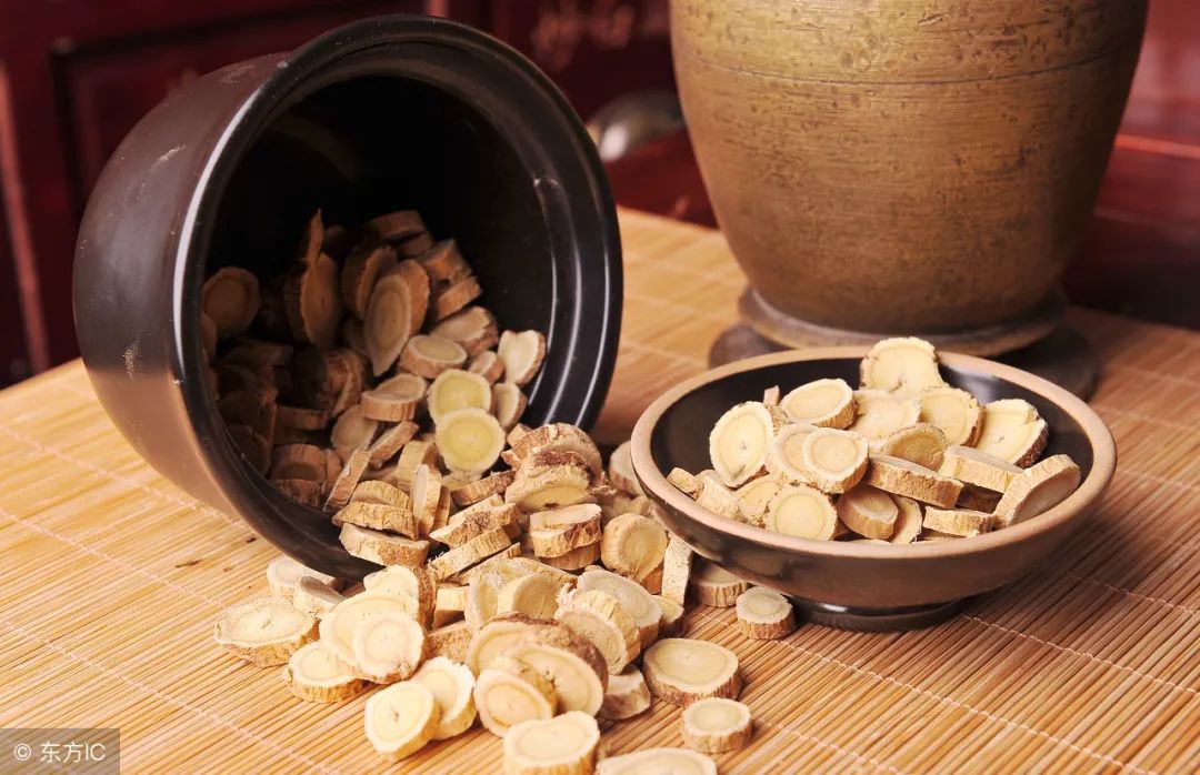 Astragalus: The First Choice for Qi Supplementation - Benefits and Precautions of Drinking Astragalus Water