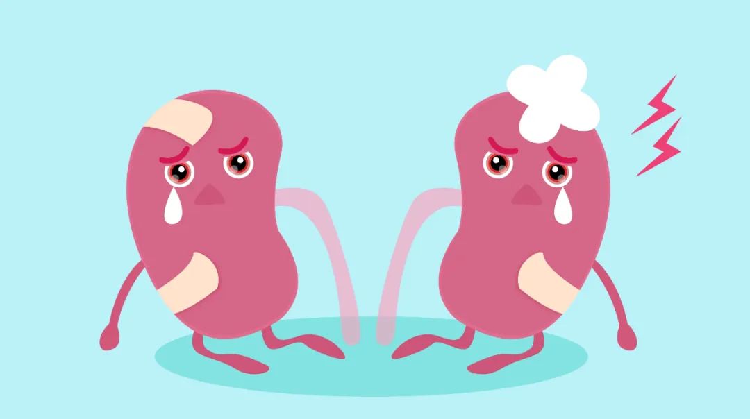 Spleen and Kidney Yang Deficiency: A Classic TCM Formula by Zhang Zhongjing
