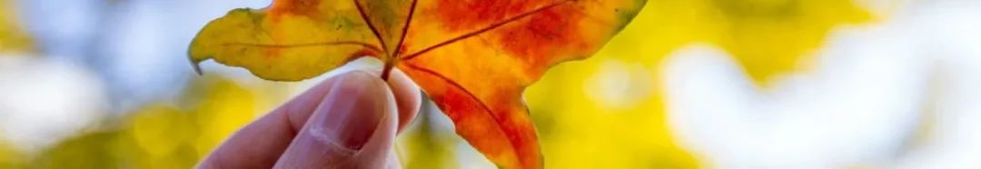 Daily TCM Report: A Dietary Guide for Those with Spleen and Stomach Yang Deficiency