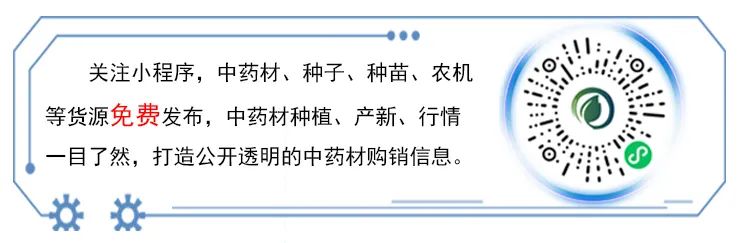 How to Cultivate Ginseng?