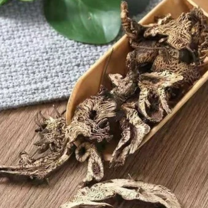 The Timeless Qi-Boosting Formula: Bu Zhong Yi Qi Decoction