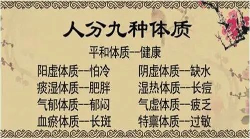 The Nine Major Constitutions in Traditional Chinese Medicine: Discover Which Type You Belong To (Part Two)