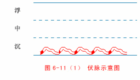 The Twenty-Eight Pulses and All Pulse Patterns in Traditional Chinese Medicine (Animated Illustrations)