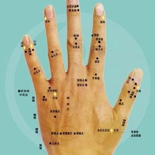 Comprehensive Guide to Holographic Diagnosis in Traditional Chinese Medicine