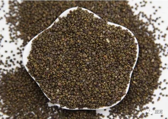 Causes and Symptoms of Kidney Yang Deficiency: What TCM Yang-Replenishing Herbs Are Available?