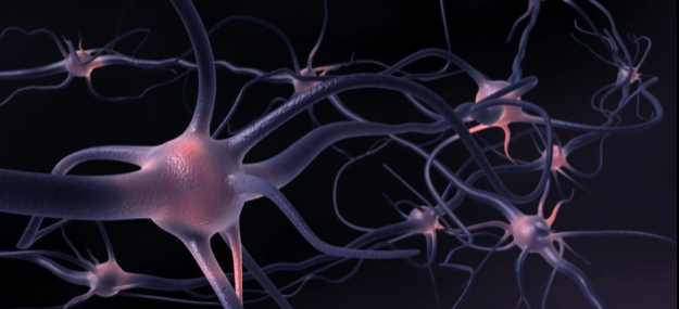 Patient Admitted with Seizures: Conflicting Accounts from Family Lead to Immediate Cessation of Medical Orders by Senior Physician