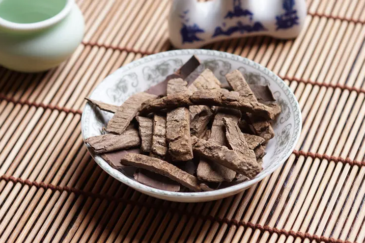 The Eight Extraordinary Meridians in Traditional Chinese Medicine