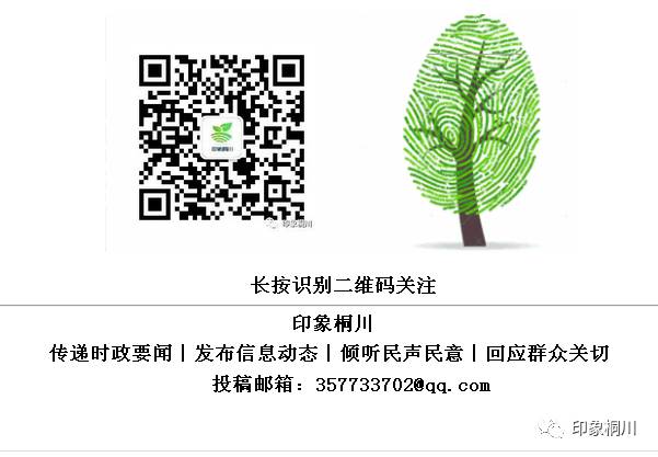 Lian Qiao: I Am Not Forsythia, Spring Comes with Me