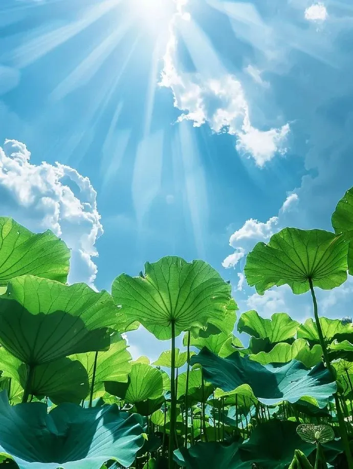 15 Health Tips for Daily Wellness: Learn a Little Each Day for Better Health