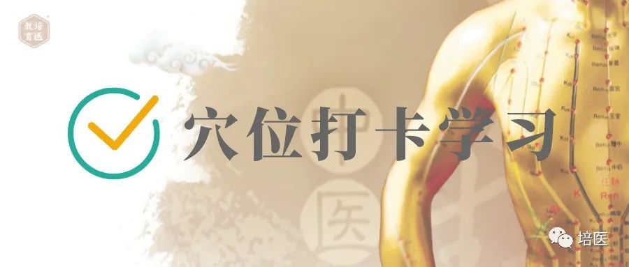 Health Preservation Strategies for Yin Deficiency Constitution