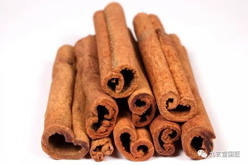 Compilation of Chinese Medicinal Herbs 71: Cinnamon