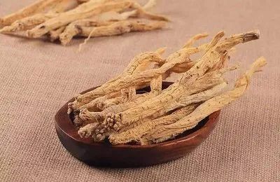 Understanding a Chinese Herb Each Week | A Focus on Dang Shen (Codonopsis pilosula)