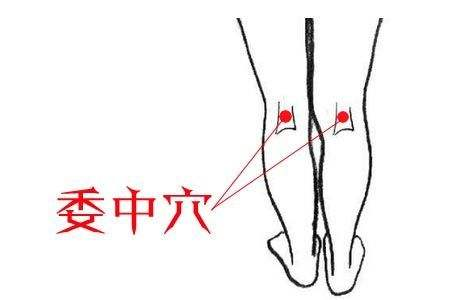 Clinical Palpation Diagnosis and Applications | Qingmu Traditional Chinese Medicine