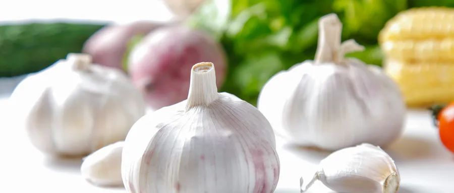 Dietary Therapy Methods for Common Ailments