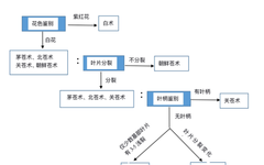 A Comprehensive Overview of Atractylodes (Cang Zhu) and Its Medicinal Value