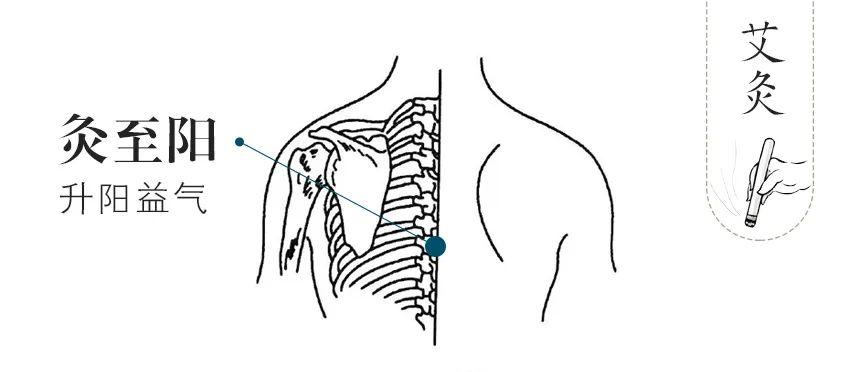 Protect Your Body's Two Meridians: Balance Yin and Yang for Unobstructed Qi and Blood Flow!