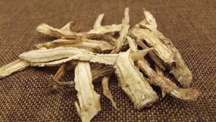 Angelica Sinensis: A Sacred Herb for Women's Health