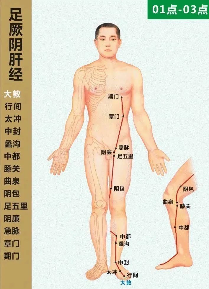 Summary of 90 Acupuncture Points and Their Therapeutic Functions with Illustrations! (Recommended for Collection)