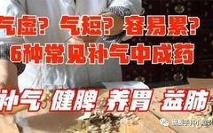 Understanding Qi Supplementation and Lung Nourishment in Traditional Chinese Medicine