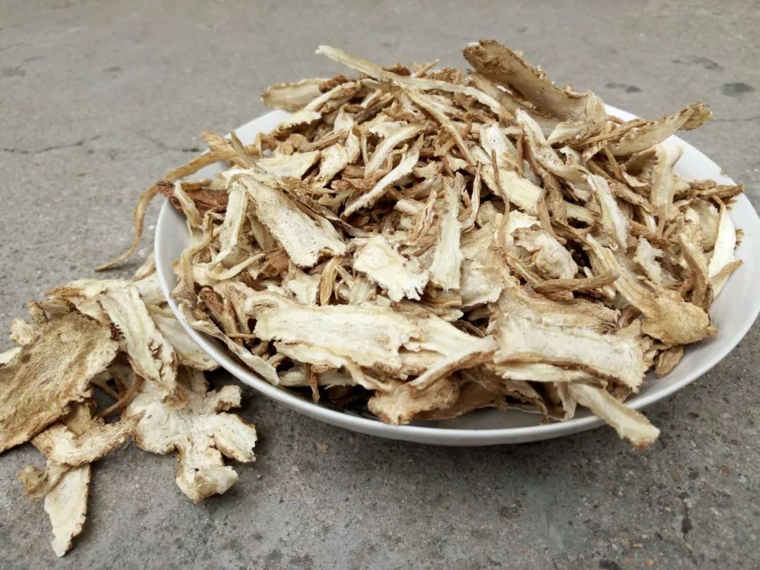Angelica Sinensis: A Sacred Herb for Women's Health
