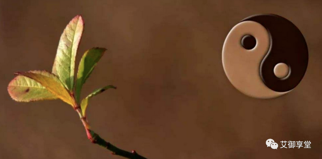 The Thinking of Disease Treatment: The Method of Yin-Yang Harmony
