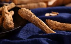 The Series of Food and Medicine Origin - Codonopsis