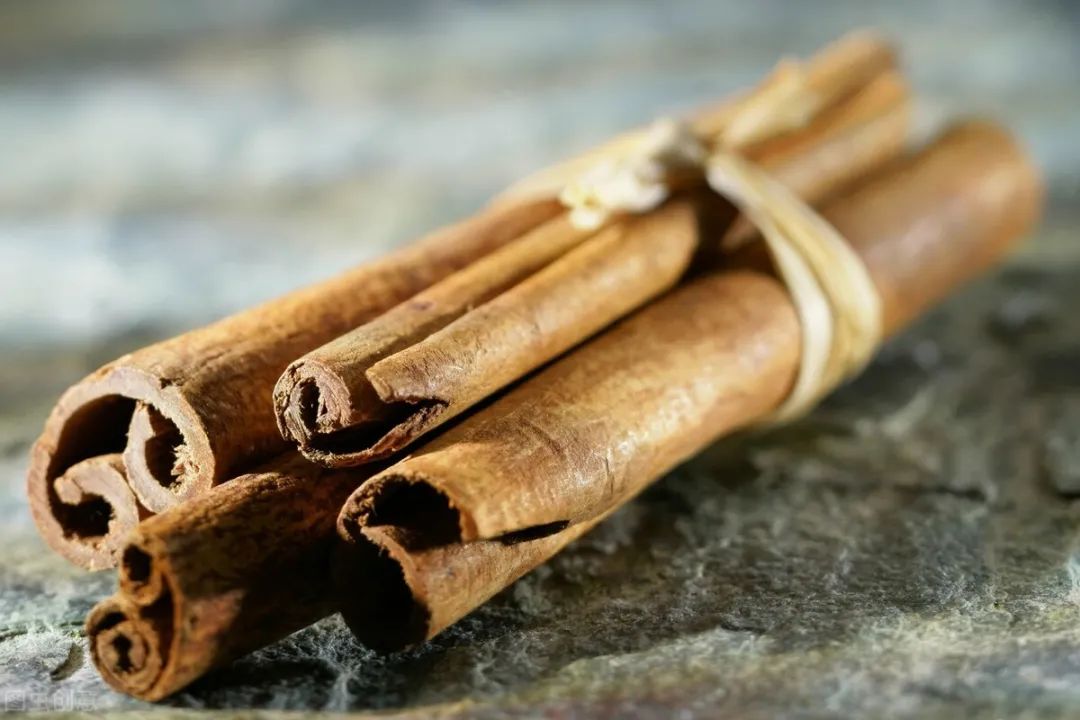 Cinnamon: Protecting the Heart and Regulating Cold Uterus with Numerous Benefits
