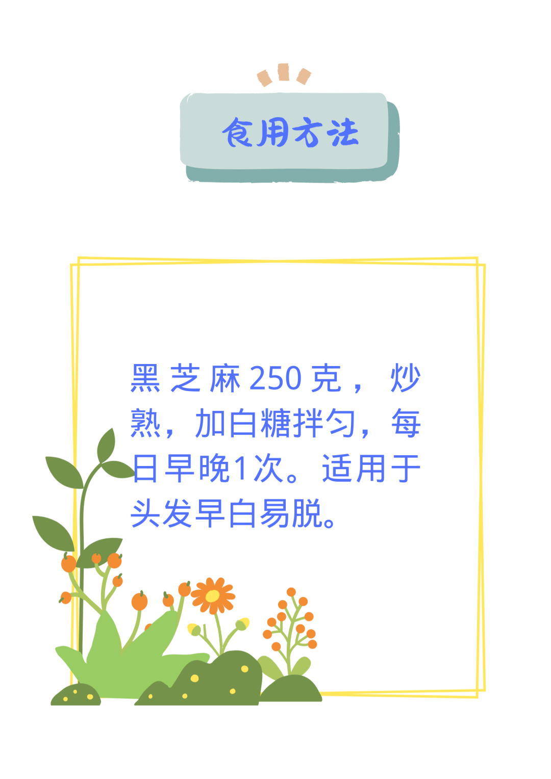 Comprehensive Guide to Dietary Therapy in Traditional Chinese Medicine! Everything You Need in One Article (Save This)